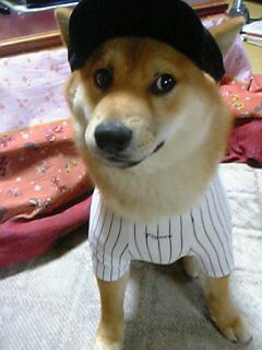 たかが6連敗