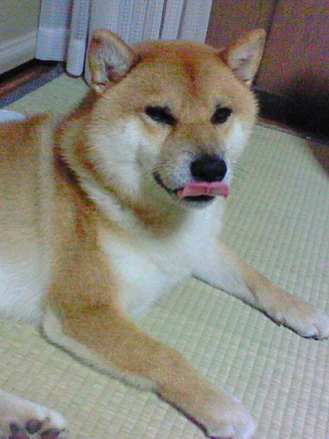j10A